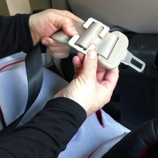 Car Seat Locking Clip (US Version)